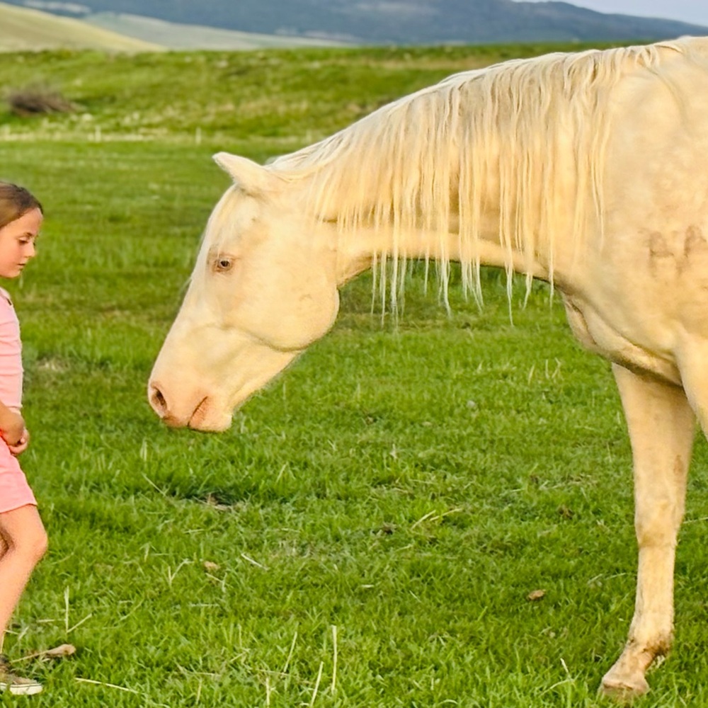 Meet your Posher, Heide